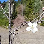 Apartmán Bauer 2 *