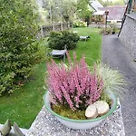 Apartmán Bauer 2 *