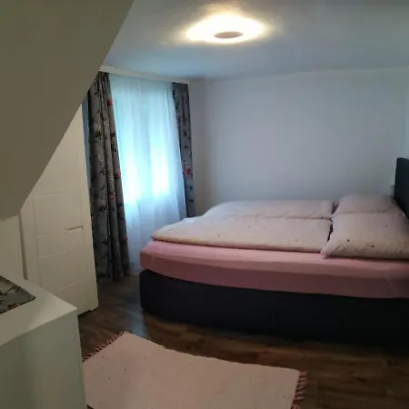 公寓 Bauer 2 Trattenbach (Lower Austria)