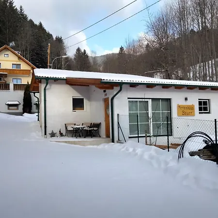 Bauer 2 Trattenbach